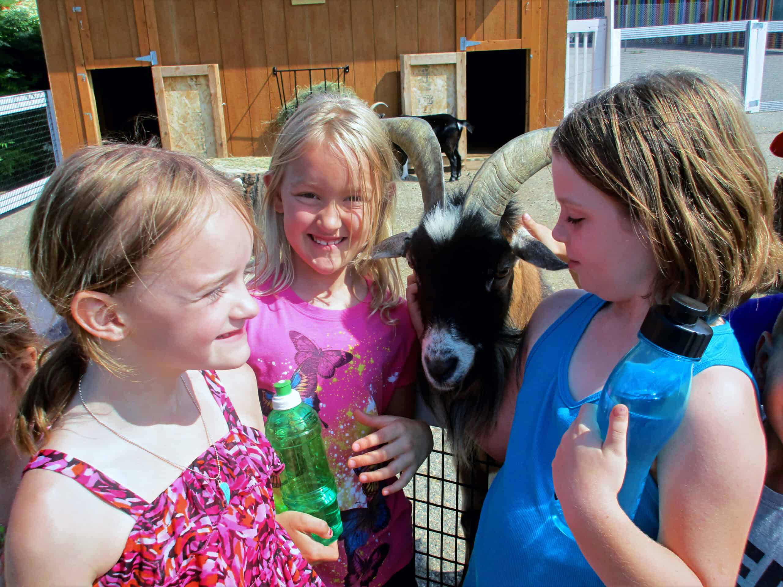 happy girls standing with a goat at a zoo